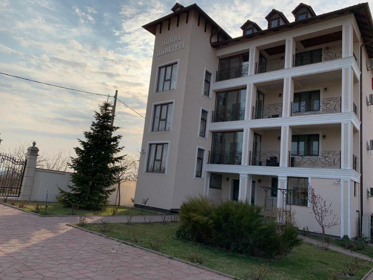Pension Hanul Andritei Craiova Buitenkant foto